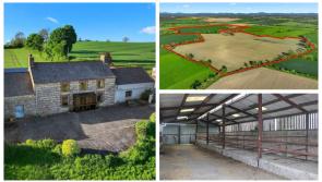 PICTURES: Carlow Farmyard with large amount of land available by public auction 