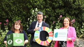 New Green for Business Clinics to support Carlow SME’s access sustainability supports