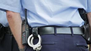Man jailed after gardaí catch him with bin bag stuffed with €100k of cannabis