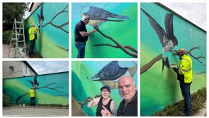 Artists create gorgeous mural in Carlow Town Park 