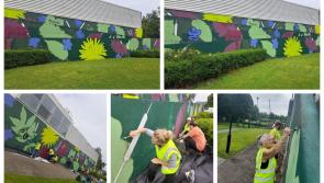 Tullow Tidy Town transform graffiti at local Town Park mural
