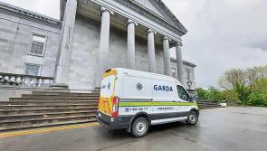 Gardai seek destruction order for XL bully dog seen 'running freely' on public roads