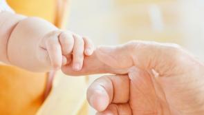 Local Carlow TD welcomes Assisted Human Reproduction Bill