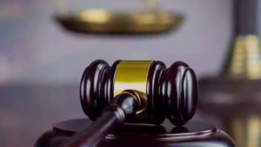 Romanian man charged with murdering fiancée in their Meath home pleads insanity