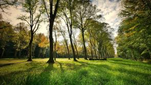 A number of Carlow Groups set to receive huge funding of almost €400,000