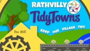 Rathvilly Tidy Towns seeking public donations to keep up their work