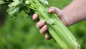 Carlow organic food producers urged to enter National Organic Awards