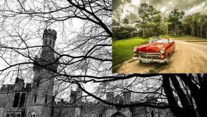 WHAT'S ON: A weekend of Vintage and Classic Car fun in County Carlow 