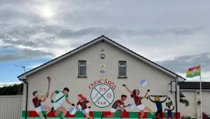 Local Carlow GAA Club has brand new mural painted on their clubhouse 