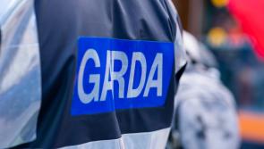Carlow Gardaí share stats from Easter Bank Holiday with some shocking driving stats