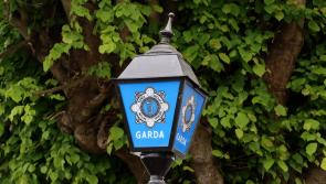 Carlow people urged to be vigilant following burglary at popular day care centre 