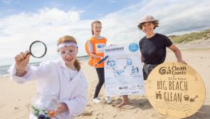 Over 300 volunteers in County Carlow are set to be involved in Big Beach Clean