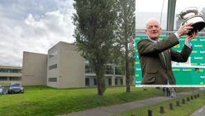 SETU announce honorary doctorates includes Carlow based horse trainer, Willie Mullins