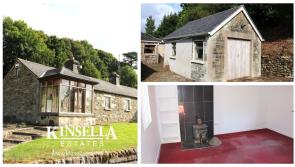 PICTURES: Distinctive Bungalow outside of Carlow in need of interior work for €275,000