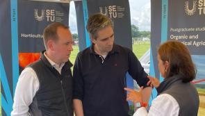 'SETU in Poll Position for sought after Veterinary Medicine Course' says Senator 