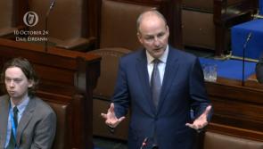 T&aacute;naiste tells D&aacute;il he was 'never briefed' about alleged Russian spy in the Oireachtas