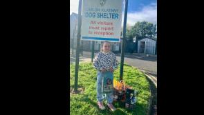 Young girl saves pocket and birthday money to make a donation to Carlow Kilkenny Dog Shelter