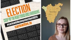 WATCH: Your 90-second guide to voting in General Election 2024 in Carlow-Kilkenny
