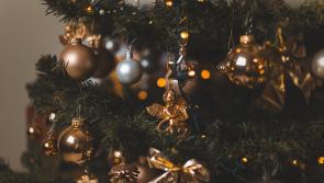WHAT'S ON: Get in the festive spirit as the Christmas Tree Festival takes place in Carlow