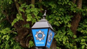 Garda&iacute; appeal for witnesses after woman found unresponsive in car park