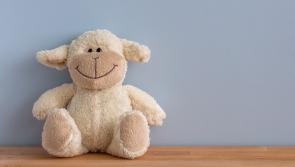 Carlow MEP backs EU move to remove chemicals from children's toys 