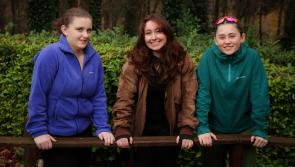 Students in Carlow Encouraged to Apply for Coillte Forestry Scholarship