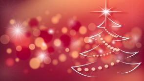 Local community turn on Christmas lights in aid of vital Carlow-Kilkenny service 