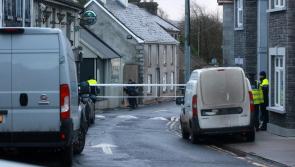LATEST: Young mother dies following serious incident in County Limerick town
