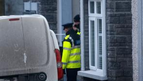  Man arrested over death of young mother in hit-and-run in Rathkeale
