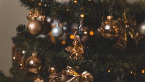 Where to recycle your Christmas tree free of charge  in County Carlow