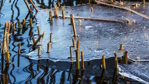 WARNING: Parents and children advised to avoid this one activity during cold snap