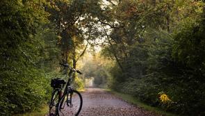 Local Carlow TD welcomes €6,000,000 funding for Active Travel in Carlow and Kilkenny 