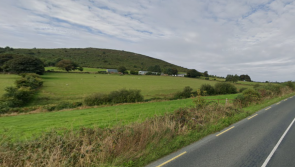 Planning application received for the construction of 14 new homes in County Carlow
