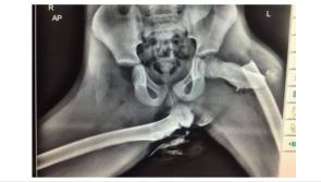 Gardaí share bone-chilling warning of risk sitting this way in a car