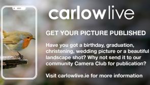 Got a local wedding picture or landscape shot? Send it to the Carlow Camera Club! 