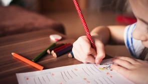 Expansion plans at Graiguecullen childcare facility gets green light 
