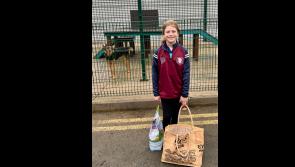 Young girl proves 'Not all superheroes wear capes' by raising funds for Carlow Dog Shelter