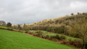 Applications sought in Carlow for the Heritage Council’s Adopt a Monument Scheme