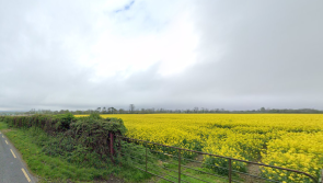 Decision on the horizon for 10 new homes to be built in County Carlow
