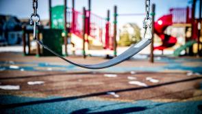 Local County Carlow playground receives huge funding of €45,000 for development 