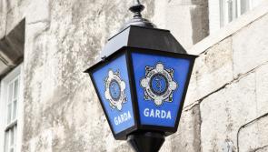 Gardaí arrest 17 people as part of crackdown targeting robbery, burglary and theft