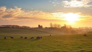 Met Éireann reveals St Patrick’s weekend weather twist with temperatures set to plunge