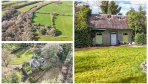 AUCTION: Fixer upper cottage on generous plot of land full of potential goes to auction 