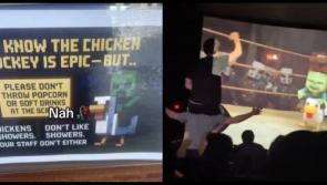 Fears gardaí could be called to Minecraft screenings in cinemas amid TikTok trend