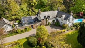 PICTURES: Jaw-dropping mansion with pool and tennis court owned by former Irish Minister