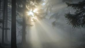 ALERT: Met Éireann issue Status Yellow fog warning for 20 counties amid rising temperatures