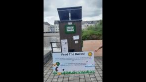 Carlow County County launch new recycled plastic duck feeder in Carlow Town Park  