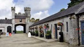Temporary closure of Duckett's Grove to take place in Carlow next week