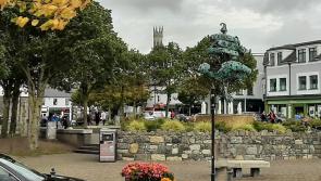 March in solidarity with Palestinians to take place in Carlow today