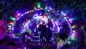 'Enchanting' Christmas Wonderland to come alive in popular Carlow gardens this weekend